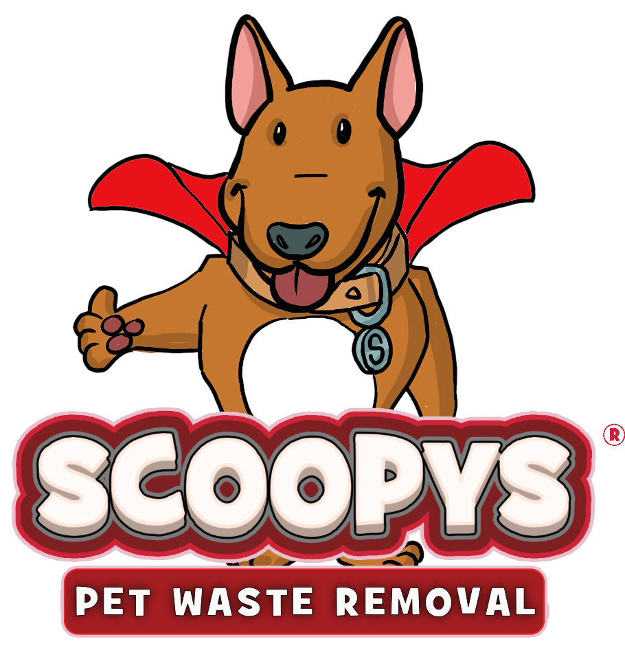 LOGO FOR WEBSITE